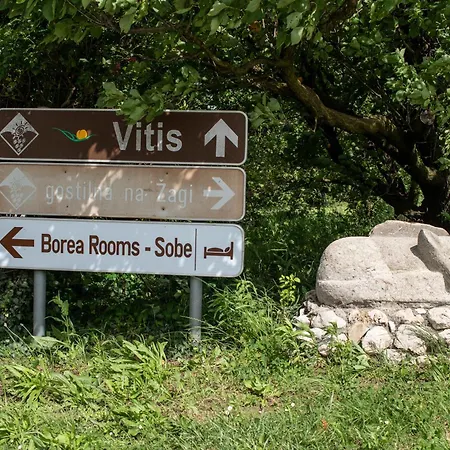 Borea - Sobe Budanje