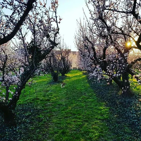 Alloggio in famiglia Borea - Sobe Budanje *