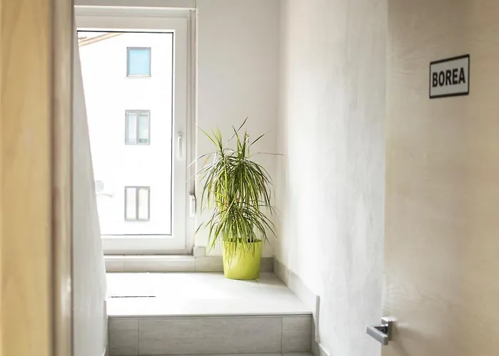 Pansiyon Borea - Sobe Budanje