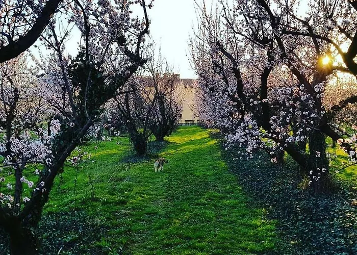 Pansiyon Borea - Sobe Budanje *